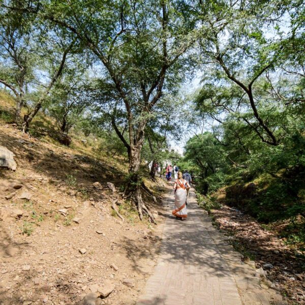 3 Days Barsana