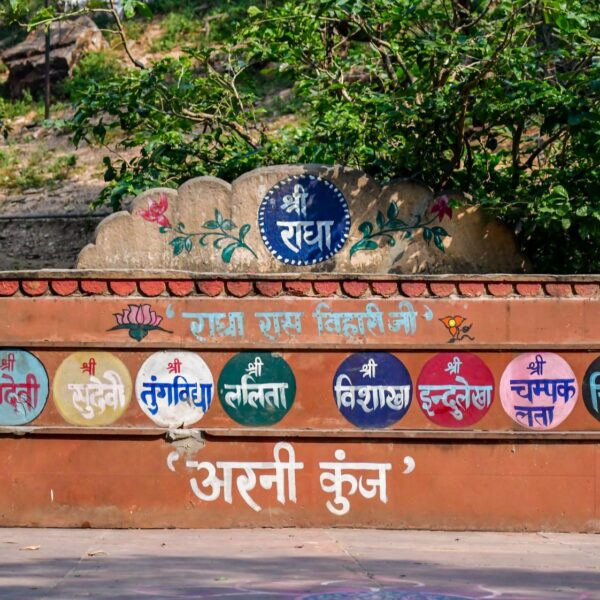 Barsana Tour Package