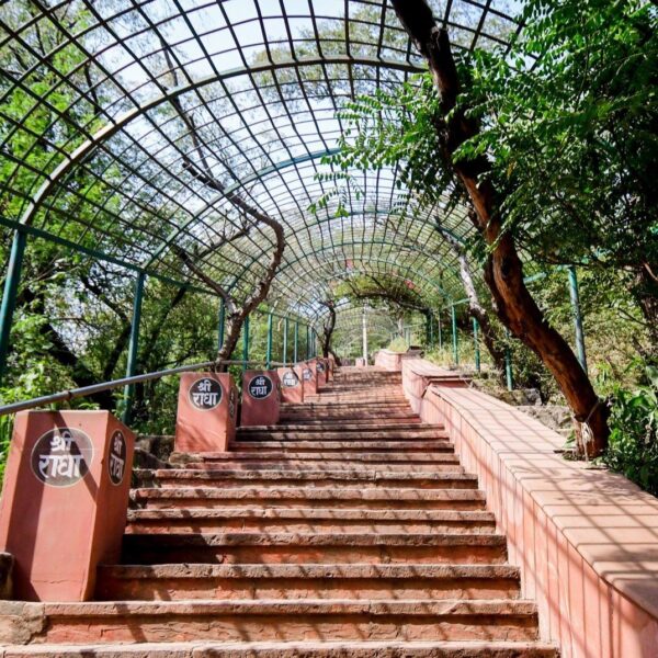Barsana Tour Package