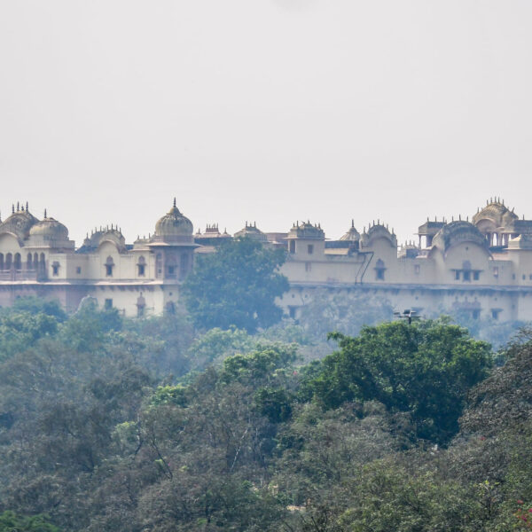 3 Days Barsana (2 days) - Nandgaon Tour Package