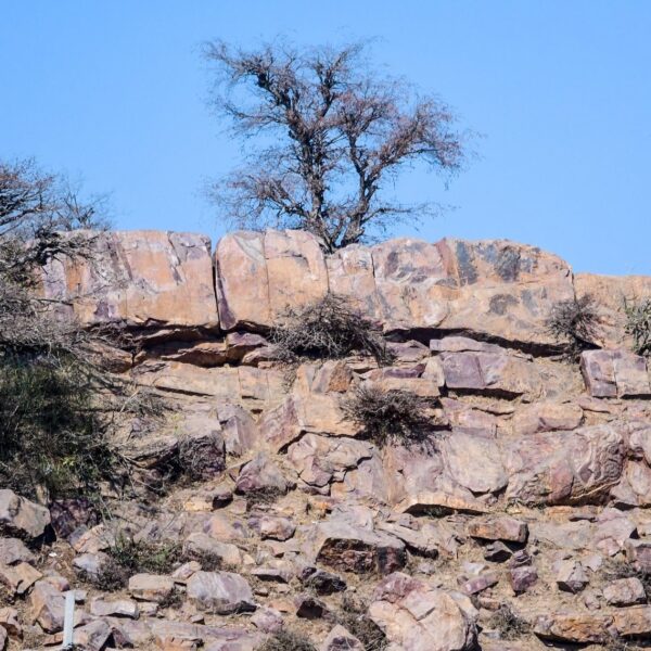 Giriraj Parikrama