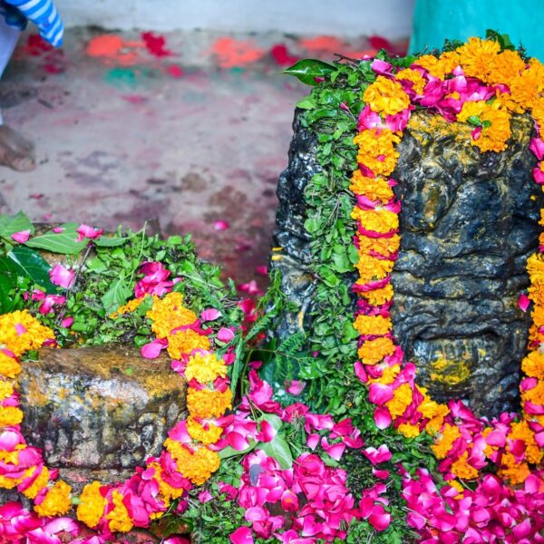 3 Days Vrindavan - Gokul - Rawal - Mathura - Kaman Tour Package