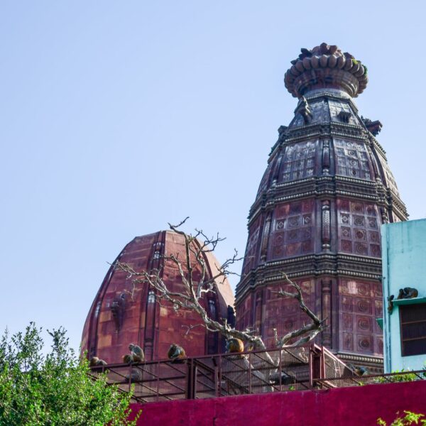 Vrindavan - Barsana